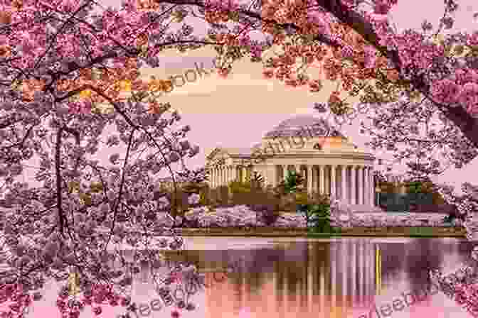 A Serene Photograph Of The Tidal Basin During Cherry Blossom Season, With The Iconic Jefferson Memorial In The Background My Washington DC Cheryl L Bradley