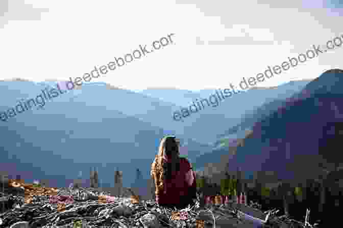 Book Cover Of 'From Sand Hill To Pine': A Woman Sitting On A Rock In The Mountains, Overlooking A Valley From Sand Hill To Pine