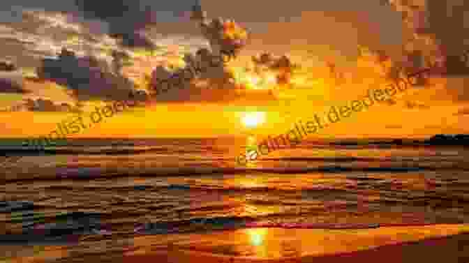 Mesmerizing Sunset Over The Horizon, Casting Golden Hues Over Topsea's Beach A Friendly Town That S Almost Always By The Ocean (Secrets Of Topsea 1)