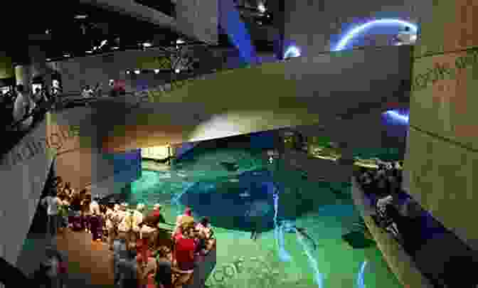 National Aquarium, A Renowned Attraction In The Inner Harbor Inner Harbor (Chesapeake Bay 3)