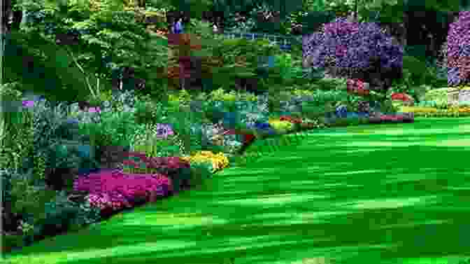 Panoramic View Of Leah Garden With Blooming Flowers And Lush Greenery A Time To Bloom (Leah S Garden #2)
