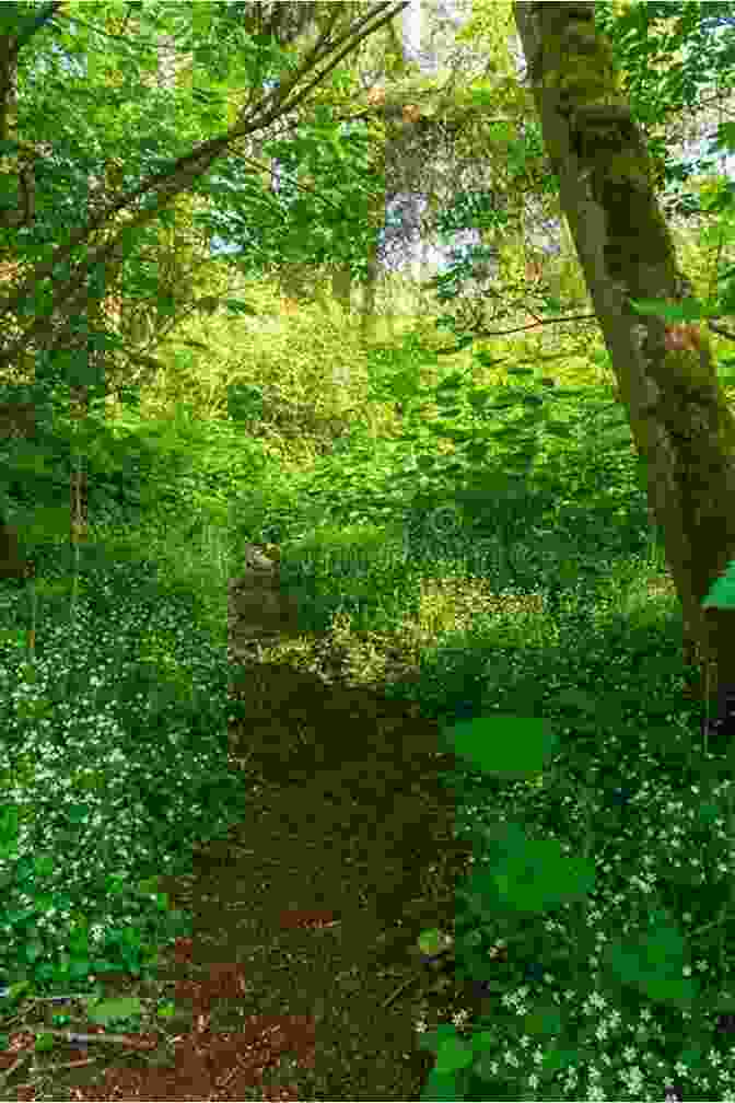 Path Meandering Through Lush Vegetation In Leah Garden A Time To Bloom (Leah S Garden #2)