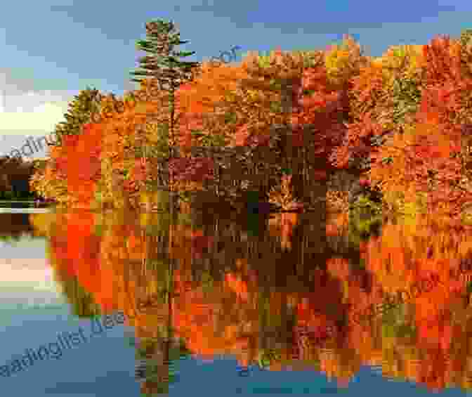 Vibrant Fall Foliage Along The Maine Coastline, Creating A Picturesque Autumn Spectacle Maine Coast Autumn