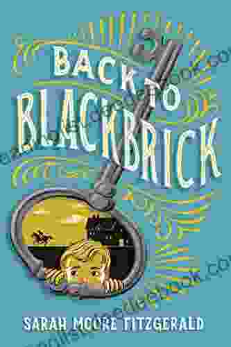 Back To Blackbrick Sarah Moore Fitzgerald