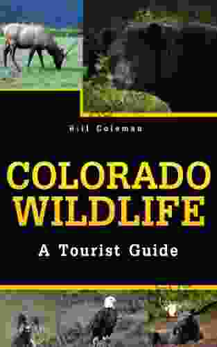 Colorado Wildlife: A Tourist Guide