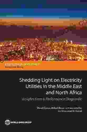Shedding Light On Electricity Utilities In The Middle East And North Africa: Insights From A Performance Diagnostic (Directions In Development Directions In Development Energy And Mining)