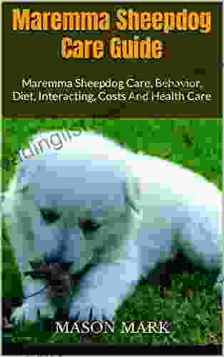Maremma Sheepdog Care Guide: Maremma Sheepdog Care Behavior Diet Interacting Costs And Health Care