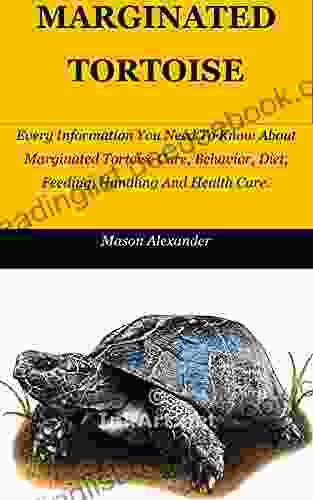 MARGINATED TORTOISE: Every Information You Need To Know About Marginated Tortoise Care Behavior Diet Feeding Handling And Health Care