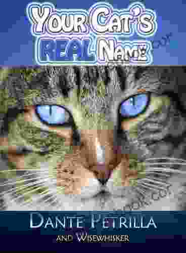 Your Cat S REAL Name Dante Petrilla
